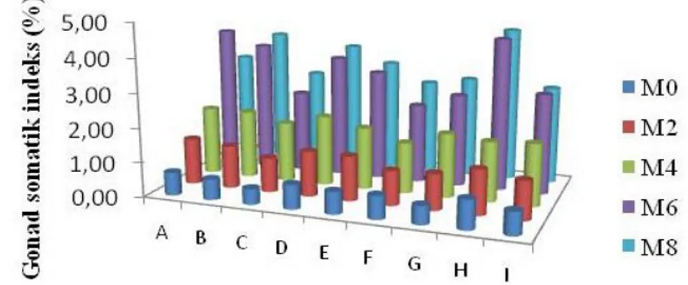 Gambar 7.  Perkembangan perkembangan nilai GSI ikan nila merah (Oreochromis  sp.) pada masing-masing perlakuan selama pemeliharaan 