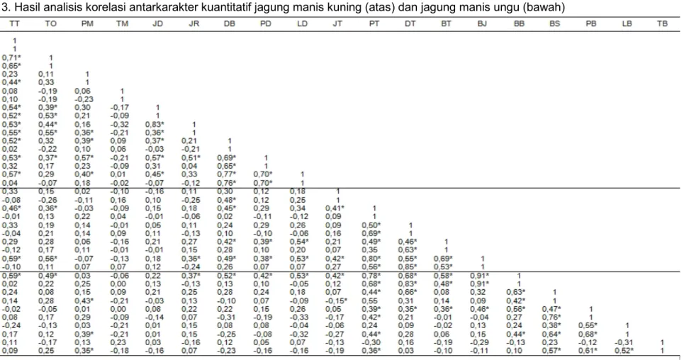 Tabel 3. Hasil analisis korelasi antarkarakter kuantitatif jagung manis kuning (atas) dan jagung manis ungu (bawah)