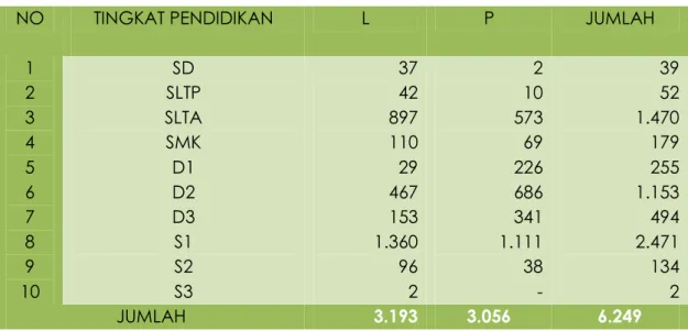 Tabel 2.1 Banyaknya Pegawai Negeri Sipil (PNS) Menurut Tingkat Pendidikan yang  Ditamatkan Tahun 2013 