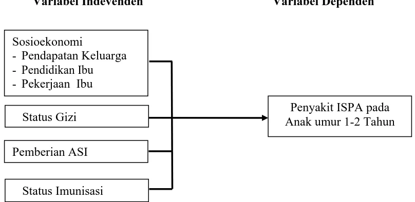 Gambar 2.3. Kerangka Konsep Penelitian  