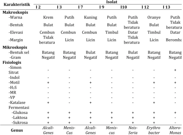 Tabel 5. Hasil Identifikasi Isolat Bakteri Sedimen 