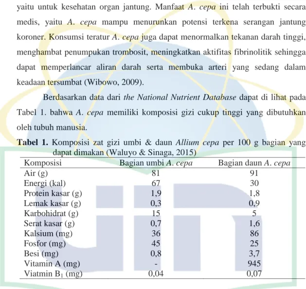 Tabel  1.  Komposisi  zat  gizi  umbi  &amp;  daun  Allium  cepa  per  100  g  bagian  yang  dapat dimakan (Waluyo &amp; Sinaga, 2015) 