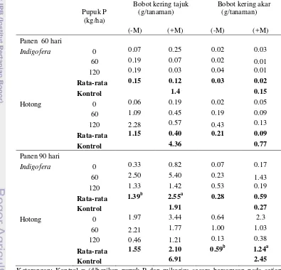 Tabel 5 Bobot kering tajuk dan akar Indigofera dan Hotong selama penelitian