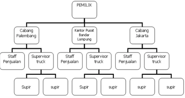 Gambar 4.2 Struktur Organisasi CV.Palembang Express 