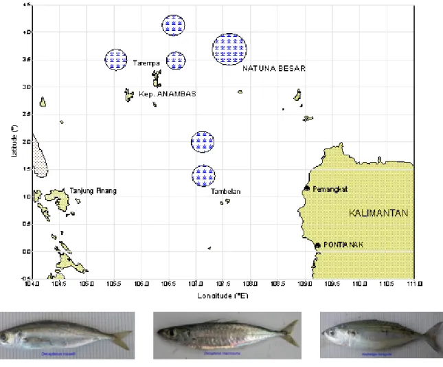 Figure 1. Map of the purse seiner’s fishing grounds in the South China Sea and the species study.
