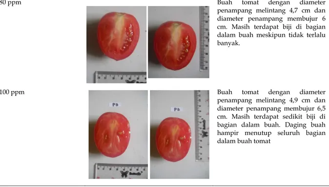 Tabel 3. Rerata bobot biji tomat varitas tombatu F1 akibat pemberian hormon giberelin dalam berbagai konsentrasi 