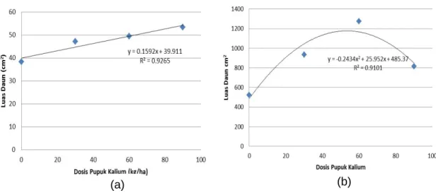Gambar 2. Regresi dosis pupuk kalium terhadap luas daun tanaman umur (a) 4  mst; dan (b) 8 mst 