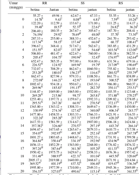 Tabel 11.  Pertumbuhan kelinci RR, SS dan RS 