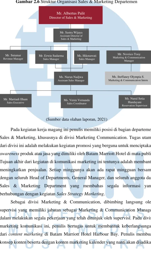 Gambar 2.6 Struktur Organisasi Sales &amp; Marketing Departemen 