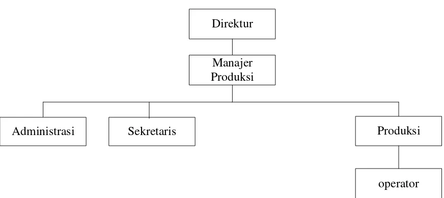 Gambar 2.1. Struktur Organisasi CV. Mabar Karya Utama 