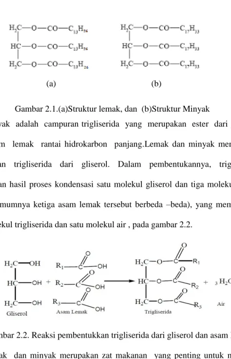 Gambar 2.1.(a)Struktur lemak, dan  (b)Struktur Minyak 