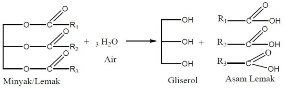 Gambar 2.3.Reaksi hidrolisis minyak dan lemak 