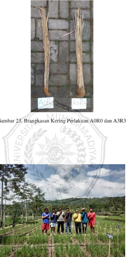 Gambar 24. Kunjungan Dosen Pembimbing 