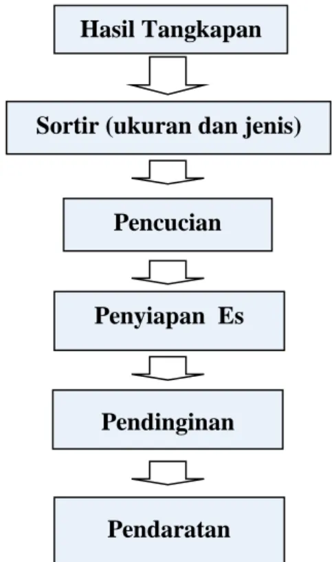 Gambar 1.  Proses Penanganan Hasil Tangkapan pada Kapal Pole and Line 