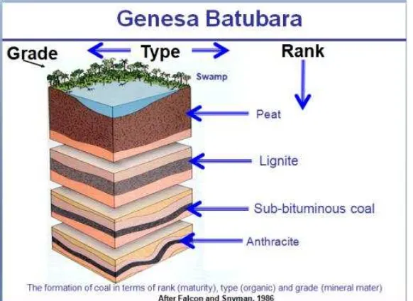 Gambar 2.7. Genesa batubara 