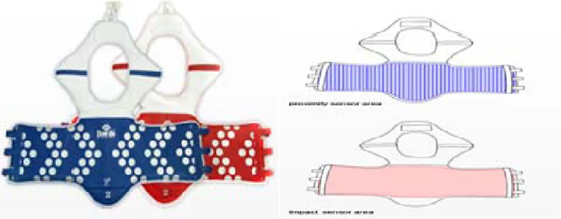 Gambar 2. Body Protector Scoring PSS 