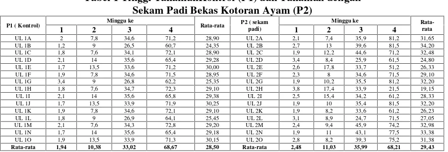 Tabel 2 Jumlah Daun Tanaman Kontrol (P1) dan Tanaman dengan