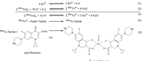 Gambar 1. Mekanisme reaksi penandaan siprofloksasin dengan radionuklida  99m Tc. 