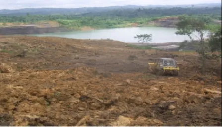 Gambar 12.  Penggemburan Lahan 