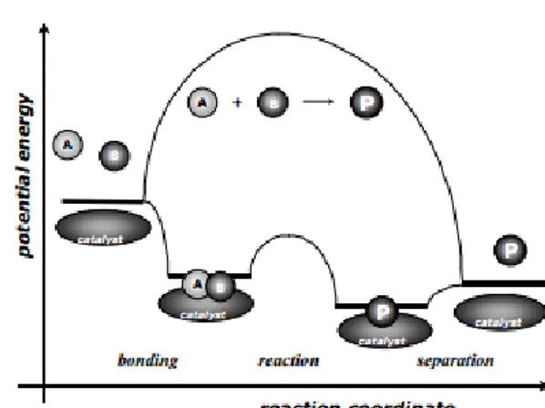 Gambar 2.1 Diagram Energi Potensial Reaksi Menggunakan Katalis Heterogen   (I Chorkendorff dan J.W