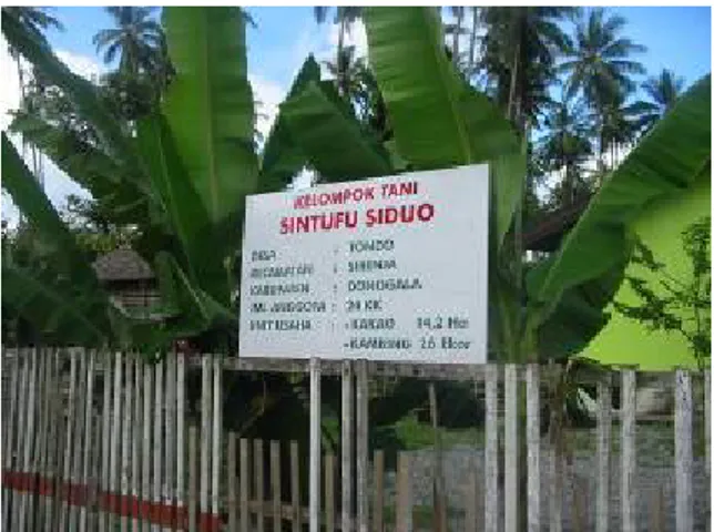 Gambar 7. Kantor Sekretariat Kelompok Tani Sintuvu Siduo Desa Tondo 