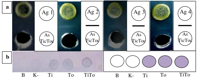 Gambar 5  Uji secara simultan dengan mencampurkan antiserum ToCV dan TICV. (a) AGPT; (b) DIBA