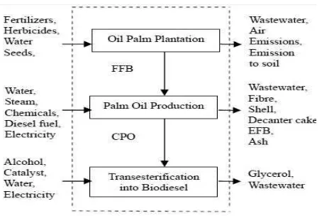Gambar 1 Diagram daur hidup pada produksi Biodiesel [16]. 