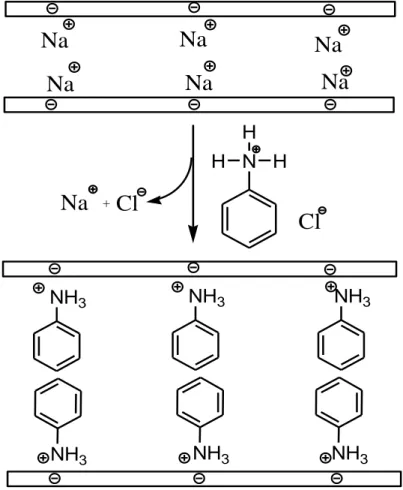 Gambar 2.   Perkiraan reaksi interkalasi anilinium dengan Na-lempung 