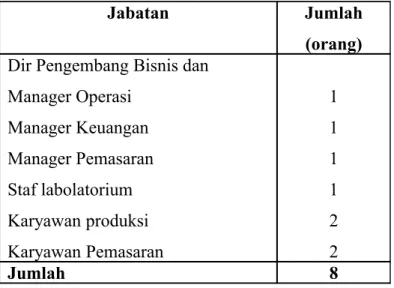 Tabel 2.3. Rencana Jabatan dan Jumlah Personil