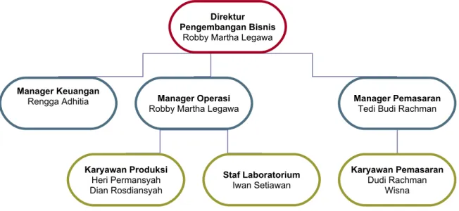 Gambar 2.5 Struktur Organisasi EHIS