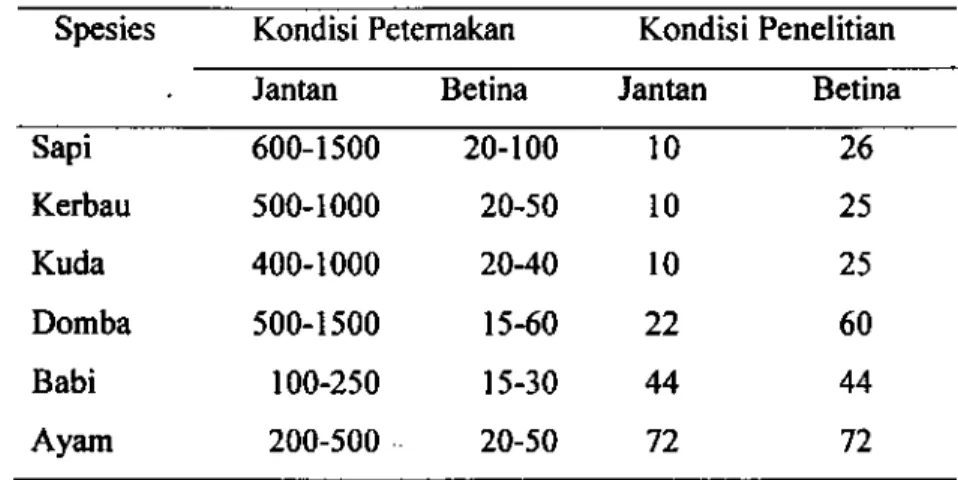 Tabel 4  Jumlah  populasi minimal pada  breeding  stock  untuk  kelangsungan  populasi  (Bodo  1990) 