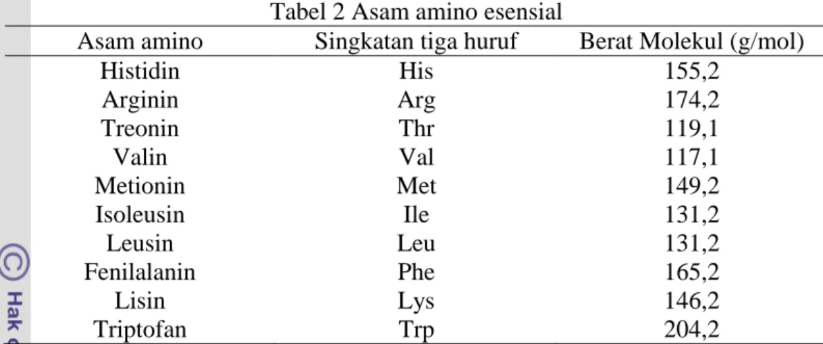 Tabel 2 Asam amino esensial 