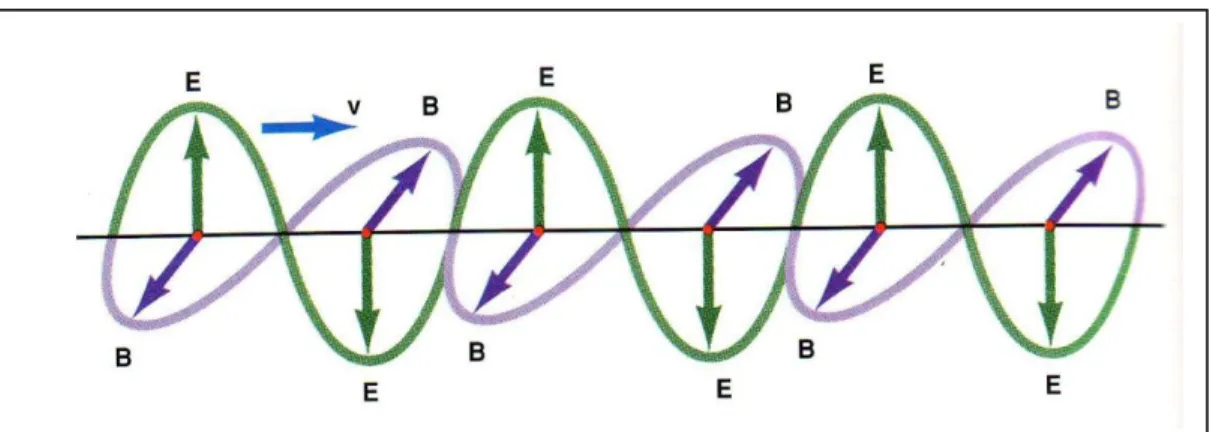 Gambar 2.17 Gelombang Elektromagnetik terpolarisasi bidang 