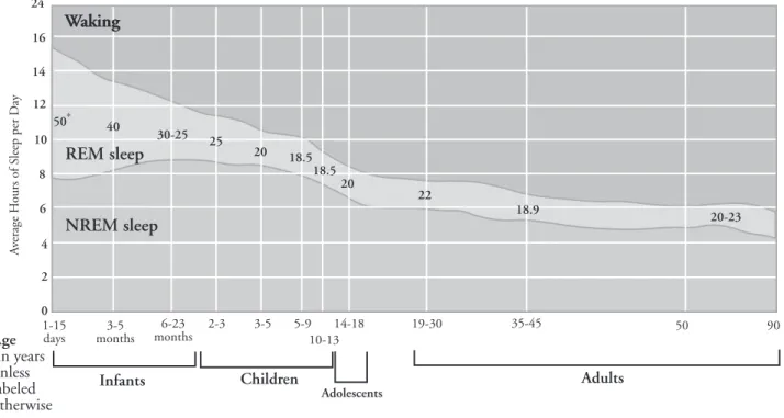 Gambar proporsi REM dan Non REM pada perkembangan tidak berdasarkan kelompok umur.