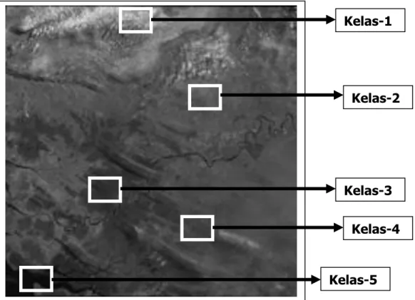 Gambar 6 menunjukan salah satu band (yaitu band 5) dari data Landsat  ETM  daerah  kabupaten  Bengkayang,  Kalimantan,  yang  digunakan  untuk  eksperimen