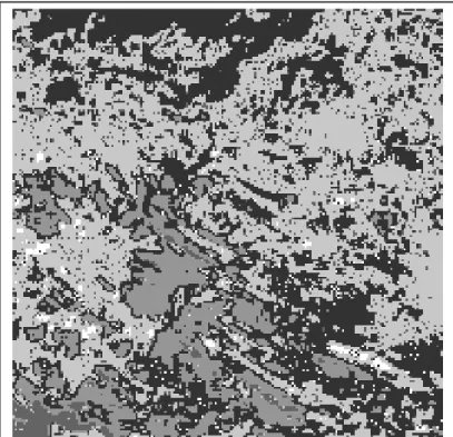 Gambar 8. Citra tematik Landsat ETM daerah kabupaten Bengkayang,          hasil klasifikasi PNN Gaussian dengan optimasi algoritme EM