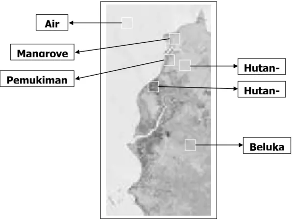 Tabel 6. Data Ketelitian Hasil Klasifikasi Data Landsat ETM daerah  kabupaten Sambas dengan PNN Gaussian optimasi algoritme EM  Object  Class  1  2  3  4  5  6  Producer’s  Accuracy  -  PA (%)  1  2,523  -  -  -  -  303  89.29  2  -  2,523  606  -  -  -  8