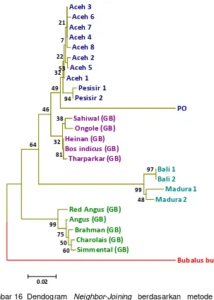 Gambar 16 Dendogram Neighbor-Joining berdasarkan metode 2 parameterKimura dari nukleotida daerah D-loop parsial (berukuran 479 nt) sapiAceh, Bali, Madura, PO, Pesisir dan bangsa-bangsa sapi dariGenBank (GB) dengan pengolahan bootstrap 1000 ulangan