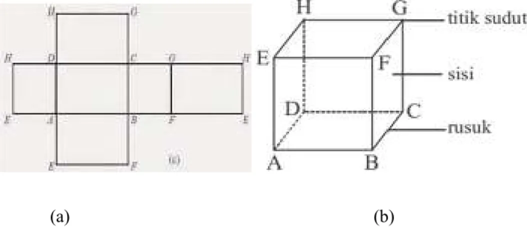 Gambar 2.3 jaring-jaring kubus dan kubus ABCD.EFGH 