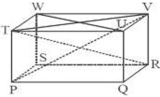 Gambar  2.6  diagonal  bidang,  diagonal  ruang,  dan  bidang  diagonal  balok  PQRS.TUVW 