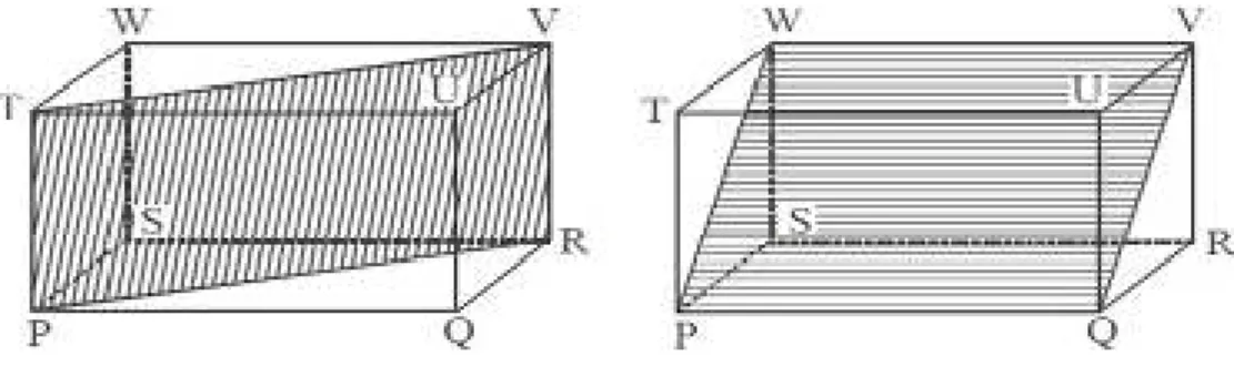 Gambar 2.7 bidang diagonal pada balok PQRS.TUVW 