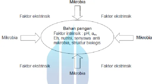 Gambar 2.1. Faktor-faktor yang mempengaruhi pertumbuhan mikroba 