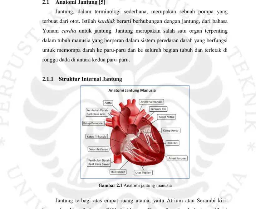 Gambar 2.1 Anatomi jantung manusia 