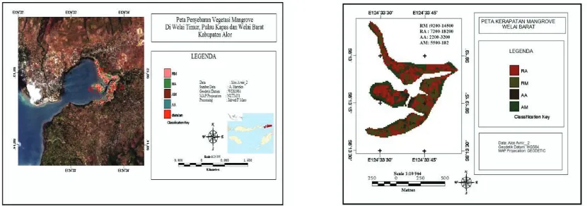 Tabel 2. Kandungan Biomassa Karbon Setiap Spesies pada masing-masing Stasiun di Welai Timur, Pulau Kapas dan Welai Barat 