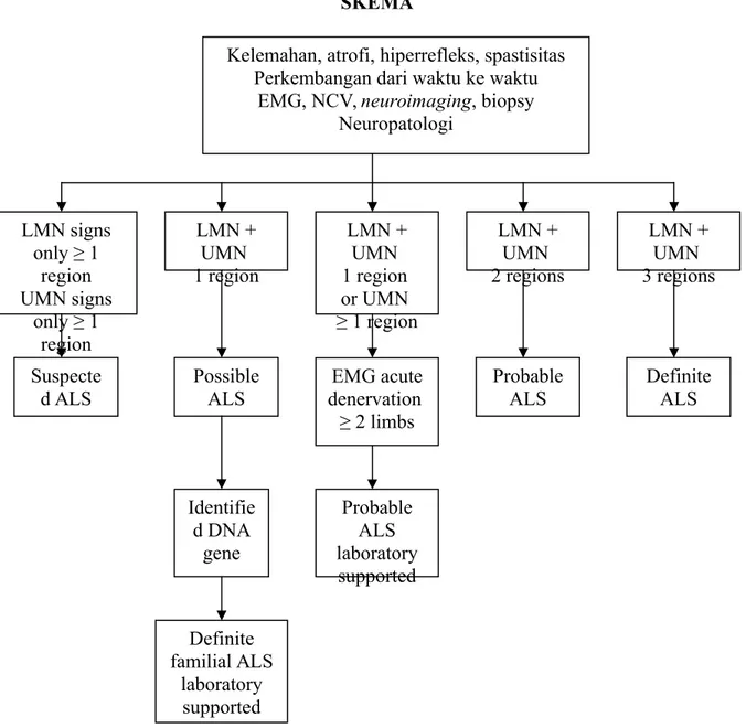 Figure 125-1. El Escorial criteria for the diagnosis of ALS. EMG, electromyography; NCV, nerve conduction velocity; LMN, lower motor neuron; UMN, upper motor neuron.