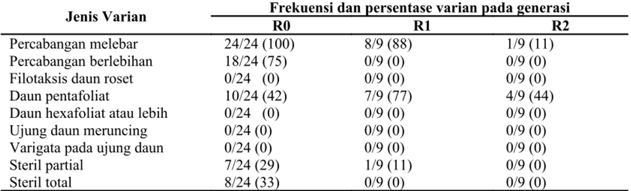 Tabel 2.   Jenis, frekuensi dan persentase varian kualitatif pada tanaman hasil seleksi in vitro (K15) generasi  R0, R1 zuriat R0 dan R2 zuriat R1
