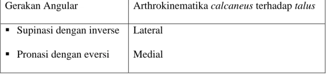 Tabel 2.4 Hubungan gerak angular dengan arthrokinematika sendi Subtalar   (Anshar dan Sudaryanto, 2011) 