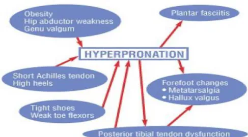 Gambar 2.10 Sebab-akibat hyperpronation (Stovitz dan Coetzee, 2004) 