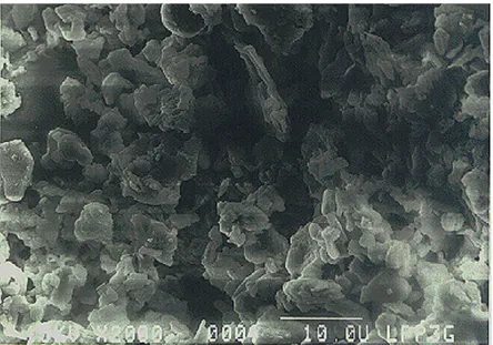 Gambar  2.    Foto  SEM  permukaan  membran  dengan  komposisi  (w/w)  50%  kaolin,  25%  pasir  kuarsa,  10%  tanah  liat  dan  15%  felspar  dengan  komposisi  aditif  sebesar  45%  yang  diperbesar  sampai 2000 kali 