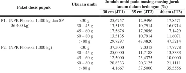 Tabel 7.  Kombinasi paket dosis pupuk dan jarak tanam dalam bedengan terhadap persentase ukuran  umbi yang dihasilkan